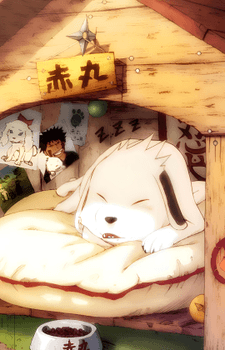Akamaru
