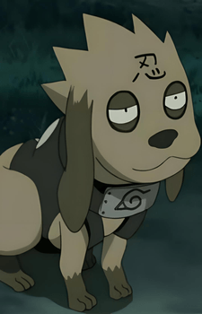 Bisuke