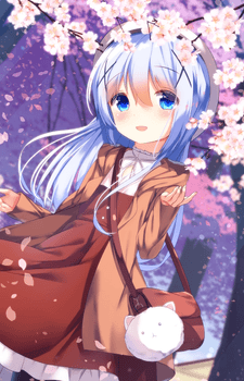 Chino Kafuu Image #7