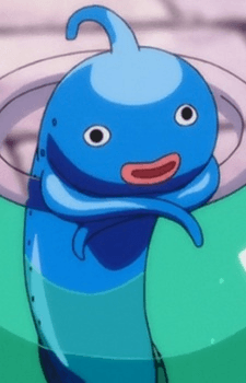 Oracle Fish