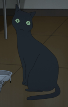Tako