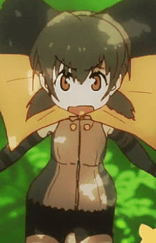 Frilled Lizard