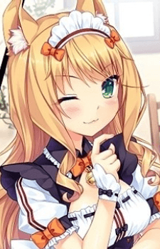 Maple