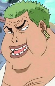 Fake Zoro