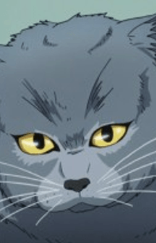 Tama