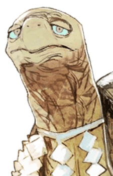Nameless Turtle