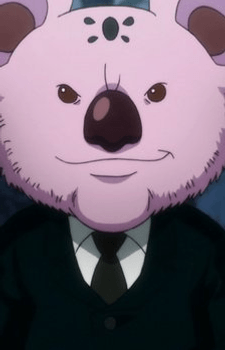 Koala