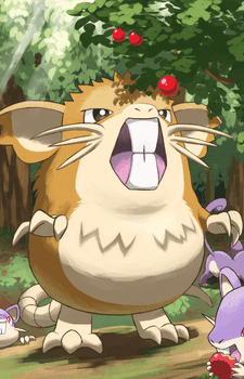 Ratta